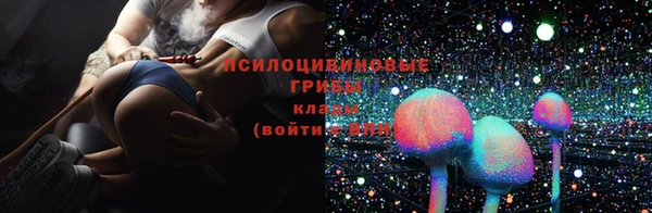 крисы Алзамай