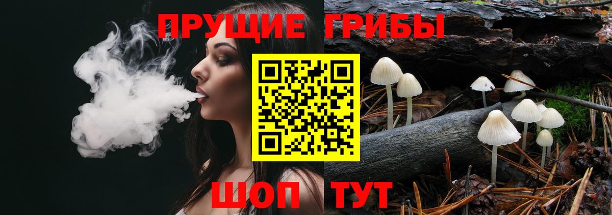 Лесной  Галлюциногенные грибы GOLDEN TEACHER  Псилоцибиновые грибы прущие грибы  Вход с VPN 